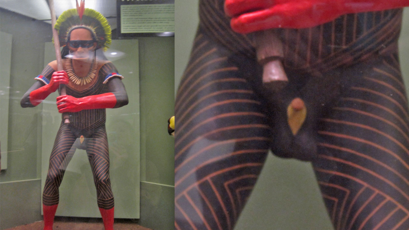 Illustration for article titled Here's Every Single Penis in the American Museum of Natural History